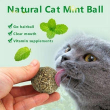 Load image into Gallery viewer, Natural Catnip Ball (2pcs)