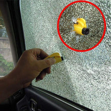 Load image into Gallery viewer, FALSE