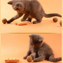 Load image into Gallery viewer, Natural Catnip Ball (2pcs)