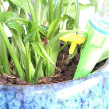 Load image into Gallery viewer, Plant Water Funnel