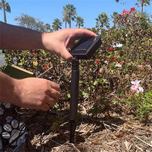 Load image into Gallery viewer, Solar Bear Claw Lawn Light