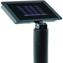 Load image into Gallery viewer, Solar Bear Claw Lawn Light