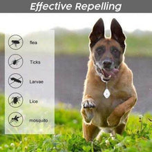 Load image into Gallery viewer, 2020 Ultrasonic Pest Repeller