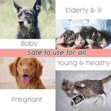 Load image into Gallery viewer, 2020 Ultrasonic Pest Repeller