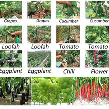 Load image into Gallery viewer, Plant Strapper