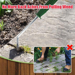 EZ Telescopic Weed Remover