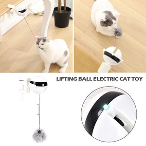 Auto Ball Lifting Cat Toy