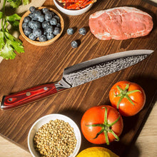 Load image into Gallery viewer, 8 Inch Forged Professional Chef Knife
